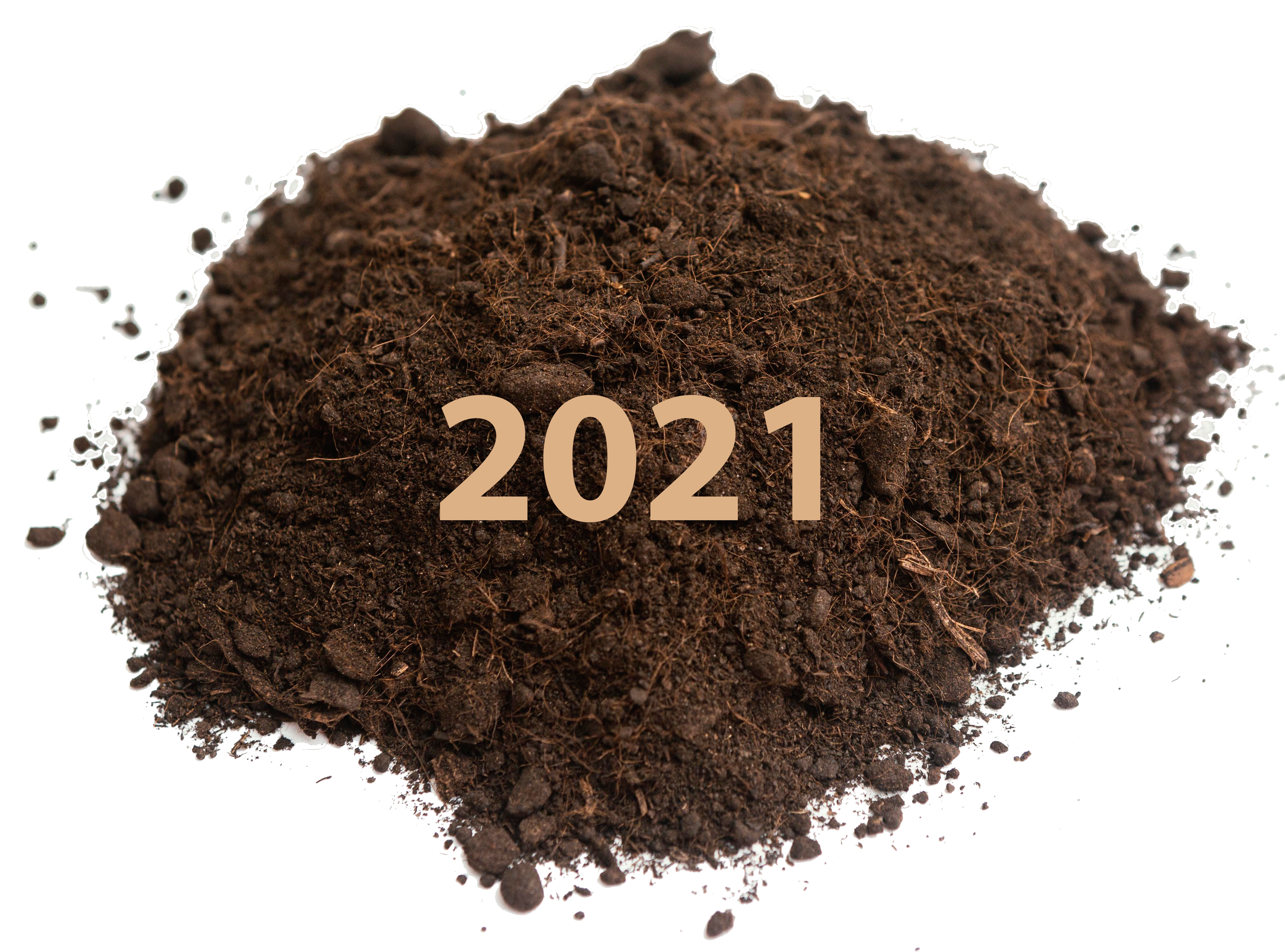 2021