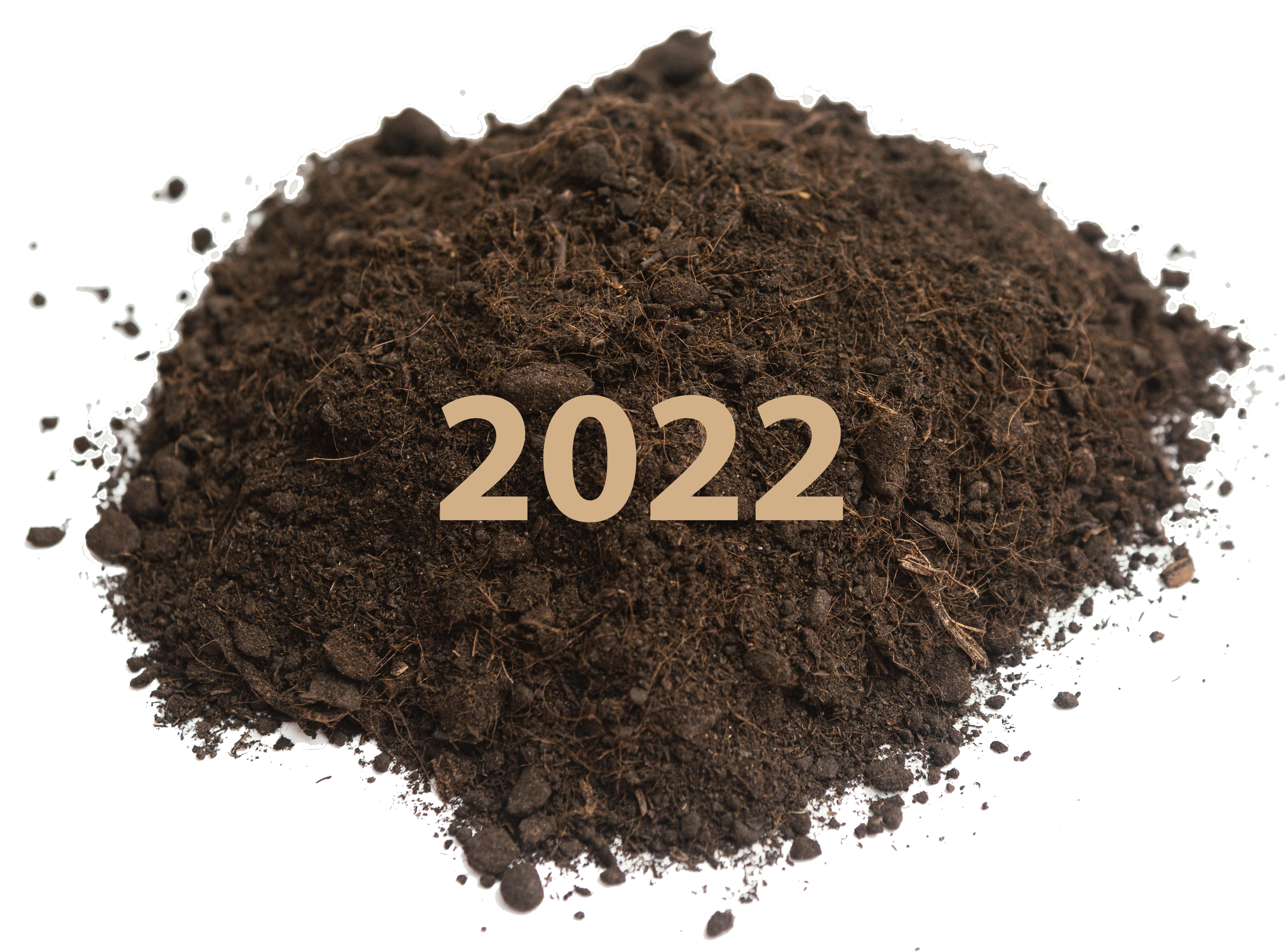 memoria sostenibilidad 2022