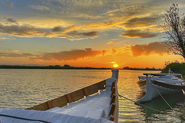 som albufera blog