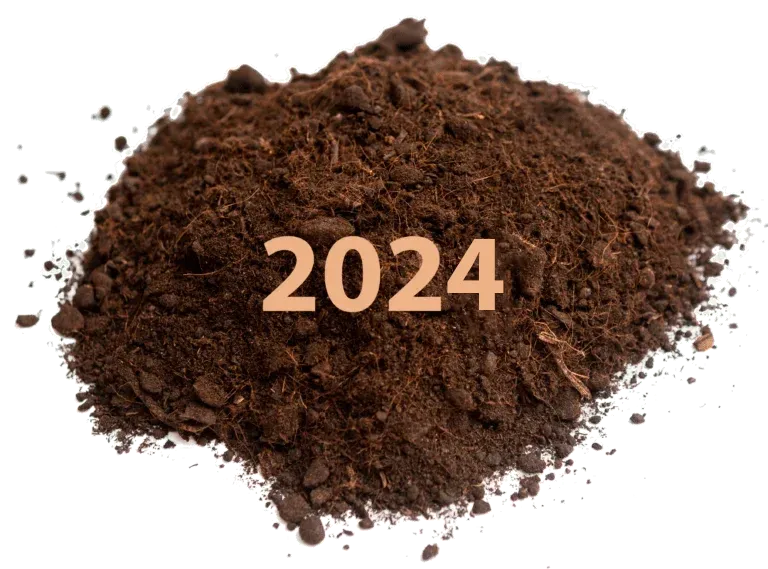 memoria sostenibilidad 2024