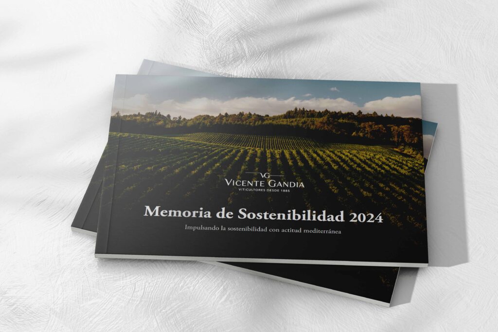 memoria sostenibilidad 2024 portada