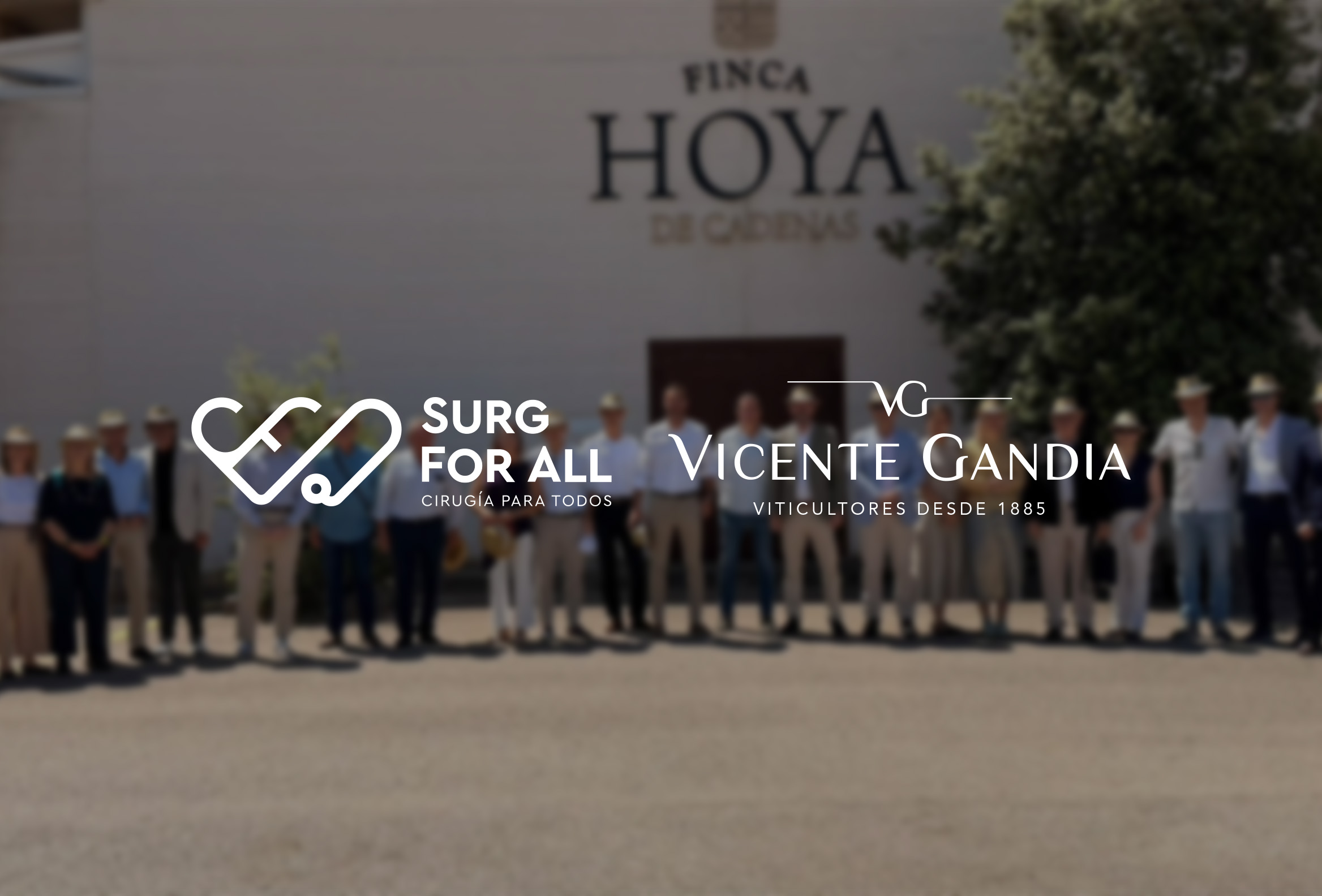 surgforall-vg